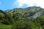 2014-07-05_Laengental-N-Hochweg (566). JPG